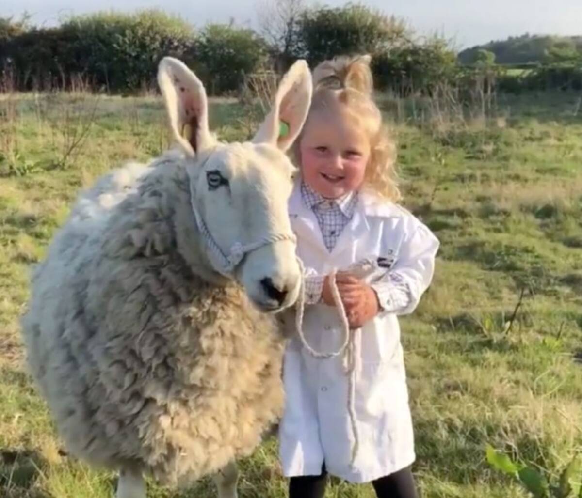 3歳の少女が仲良しの羊と調教コンテストに参加 その姿がかわい萌え イギリス 年5月23日 エキサイトニュース