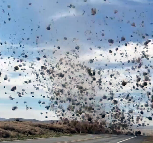 終末的光景 回転草が竜巻となり車を飲み込んでいく タンブルウィード トルネード が発生 アメリカ 年6月2日 エキサイトニュース 終末的光景 回転草が竜巻となり車を飲み込んでいく タンブルウィード トルネード が発生 アメリカ 年6月2日 エキサイトニュース