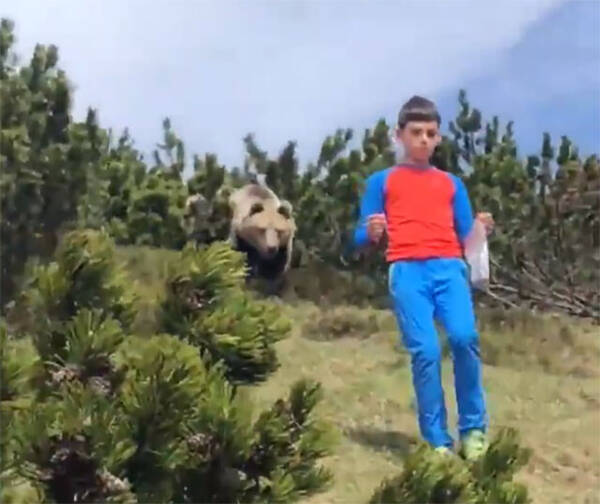 クマさんが後からついてくる事案 少年の危機一髪 イタリア 2020年6月15日 エキサイトニュース