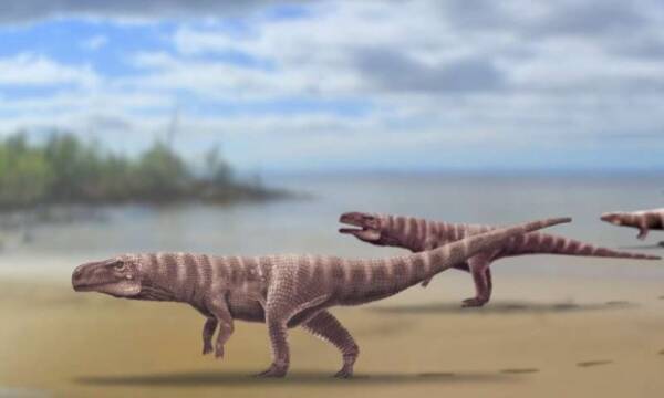 白亜紀に生息していた古代ワニは恐竜のように二足歩行していた 年6月17日 エキサイトニュース