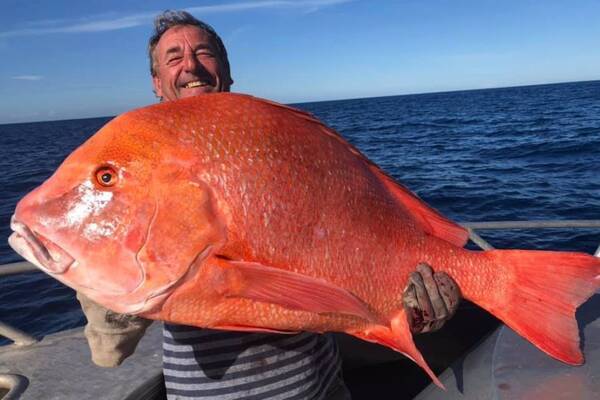 赤くて大きい 全長104センチ 体重22キロの巨大魚が釣り上げられる オーストラリア 年6月30日 エキサイトニュース