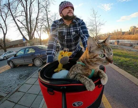 路上で偶然出会った野良猫と共に 自転車で世界を旅するサイクリスト 年7月2日 エキサイトニュース