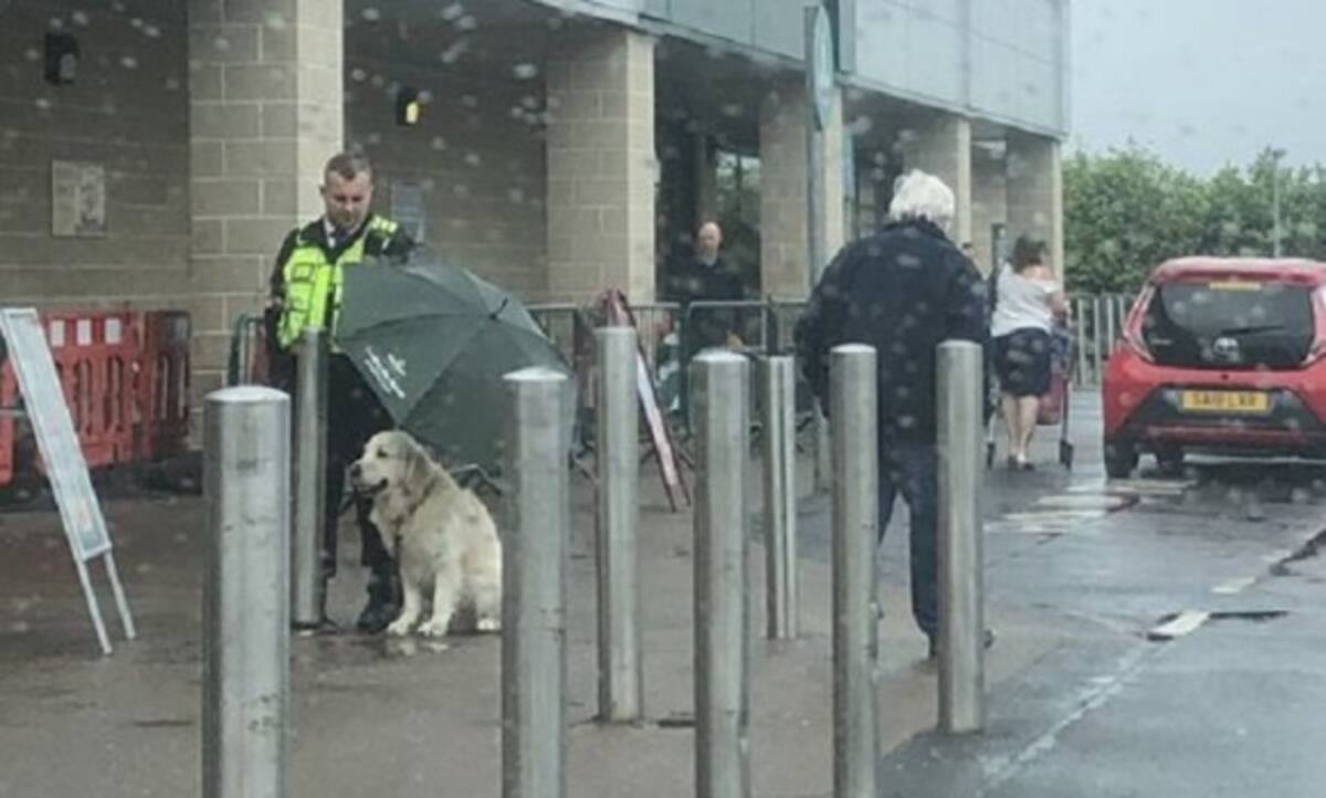 雨の中 飼い主を外で待つ犬に傘を差しかけ続けた警備員 イギリス 年7月5日 エキサイトニュース