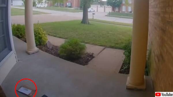 郵便物を盗もうとしていたのは世界最小の泥棒だった 監視カメラでその正体が明らかに アメリカ 年7月24日 エキサイトニュース