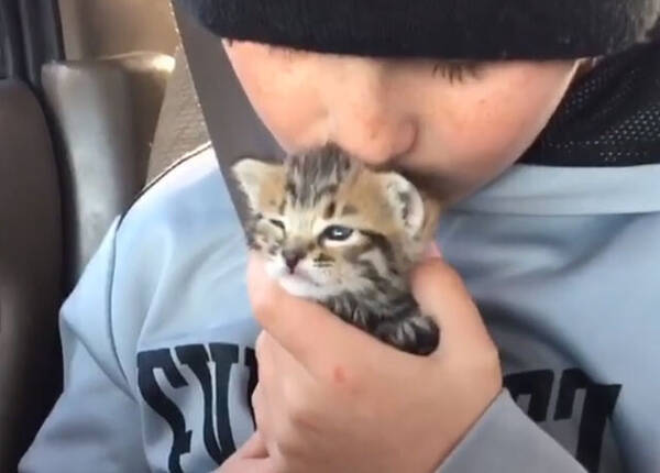 母親に捨てられ保護された子猫と少年の間に絆が生まれた瞬間 アメリカ 年8月1日 エキサイトニュース