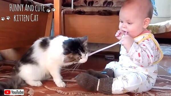 小さなニンゲンには優しくしといてやるかニャ 猫と赤ちゃんのふわふわ仲良しシーン詰め合わせ 年7月24日 エキサイトニュース