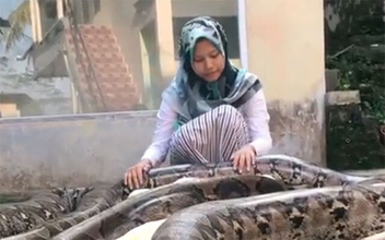 14歳少女の最愛のペットは6匹の巨大ヘビ（インドネシア ※ヘビ出演中）