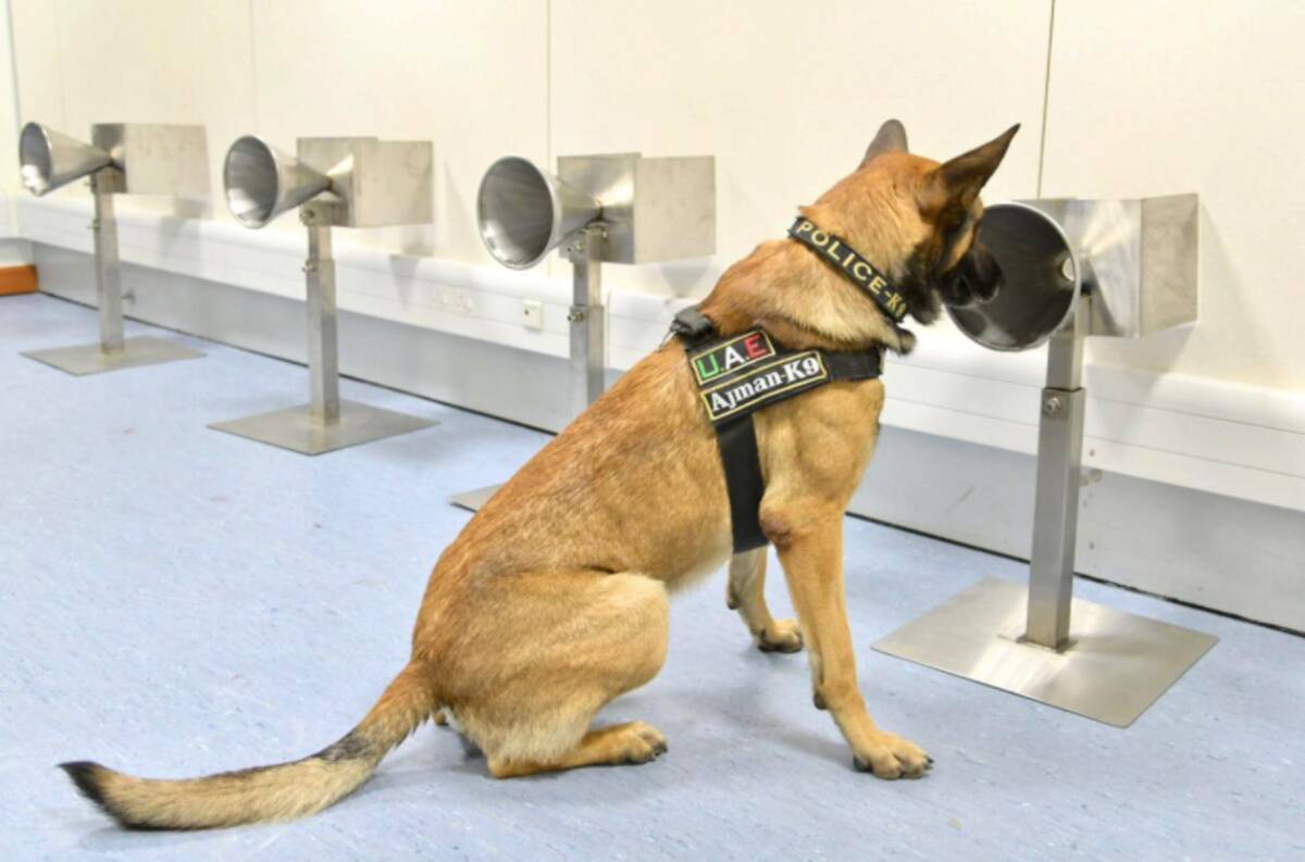 新型コロナウイルス感染者を嗅ぎ分ける犬がついに実用化 ドバイ空港に配備される アラブ首長国連邦 年8月8日 エキサイトニュース