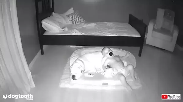 ペットのボクサー犬が好きすぎる赤ちゃん「こんなことしてた！」深夜の行動を監視カメラでチェックしてみた結果