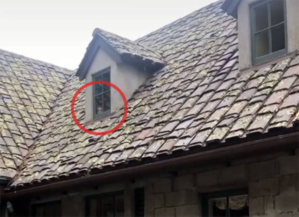 廃墟の屋敷の窓から外を見ている人の顔が 幽霊なのか 年9月16日 エキサイトニュース