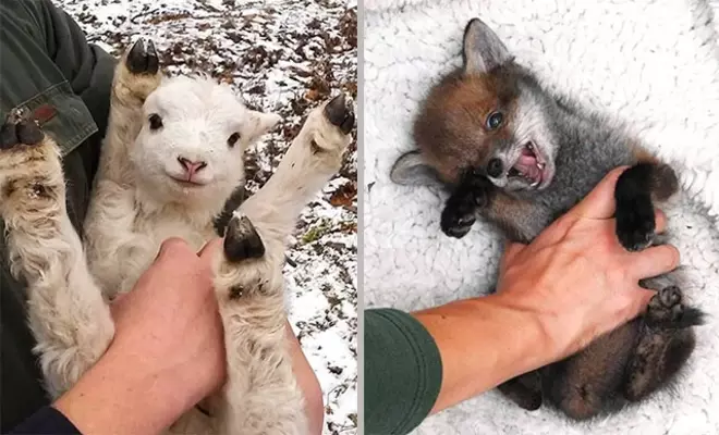 ショック 犬はお腹を撫でられるのを楽しんでいないことが判明 動物学者がガチ指摘 人間が喜ぶから耐えているだけ 18年4月12日 エキサイトニュース ショック 犬はお腹を撫でられるのを楽しんでいないことが判明 動物学者がガチ指摘 人間が喜ぶから耐えているだけ 18年4月12日 エキサイトニュース