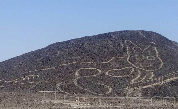 古代人もネコ好きだった 新たなナスカの地上絵がペルーで発見される 紀元前1 2世紀 年10月19日 エキサイトニュース