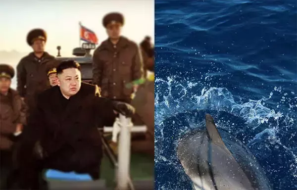 北朝鮮が軍用イルカを飼育している可能性、衛星画像から判明