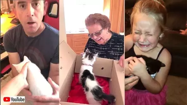 えっ子猫？本当に本当にうちの子になるの？ビックリどっきりなサプライズの瞬間を集めてみた