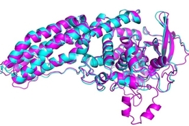 生物学の超難問をAIが解決。50年も謎に包まれていたタンパク質構造を解明（英研究）