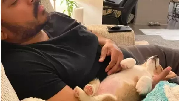 子犬を引き取って二日目。子犬と飼い主男性が見せた様子に対する海外の反応