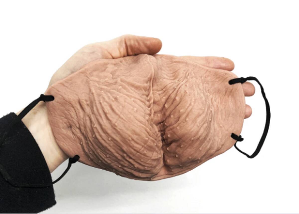 史上最驚のフェイスマスクが登場 決して外を歩けない身内専用のふぐりスタイル 年12月17日 エキサイトニュース