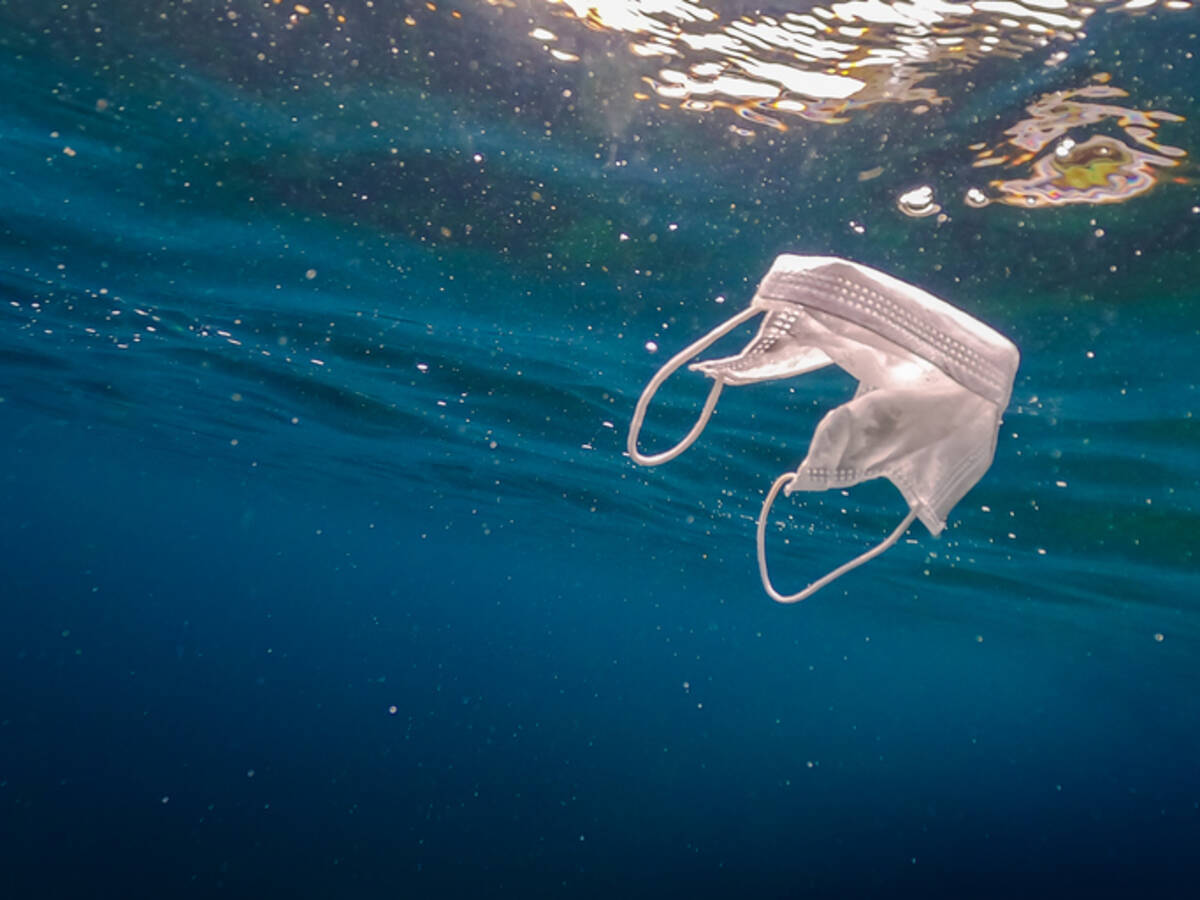 15億以上の使い捨てマスクが海に流れ込むと推測され 海洋汚染が懸念される 年12月30日 エキサイトニュース