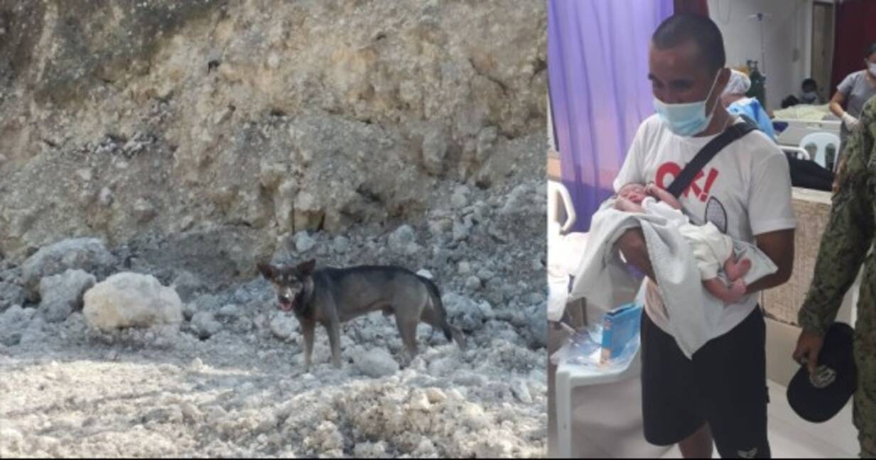 誰か助けて 犬が通行人に吠え続け 捨てられていた新生児の命を救う フィリピン 21年1月9日 エキサイトニュース