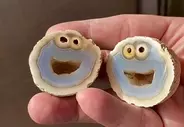 卵型の鉱物を割ったら中からクッキーモンスター！世界一かわいいなメノウが発見される