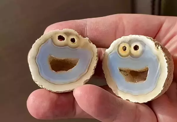 卵型の鉱物を割ったら中からクッキーモンスター！世界一かわいいなメノウが発見される