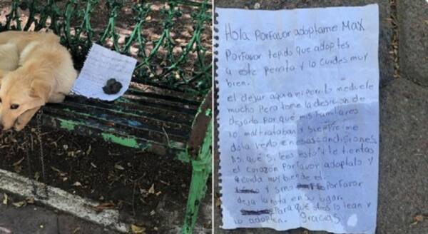 「僕の親が犬をいじめています。誰か助けてください」子供が置き手紙と共に見知らぬ人に犬を託した思い（メキシコ）