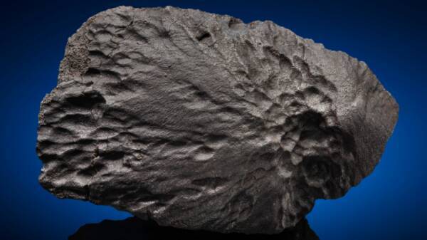 隕石が欲しいかー 月や火星の破片を含む貴重な隕石の数々がオークションに出品中 2021年2月10日 エキサイトニュース