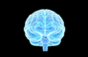 ホムンクルスかな。人工培養したミニ脳を約1年で乳児の脳に成長させることに成功