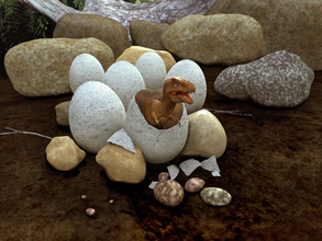 巣で卵をあたためていた恐竜と孵化する直前の卵の化石が発見される。