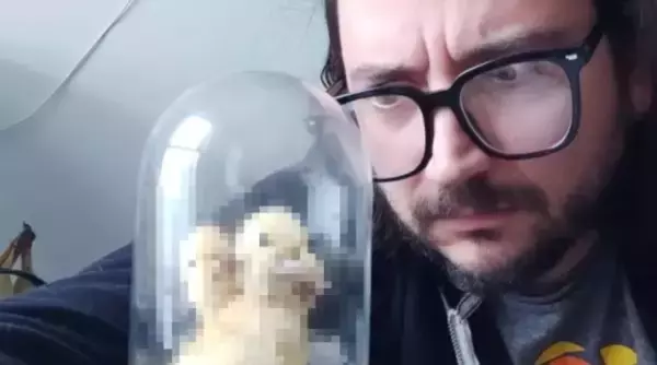 誰が？いったい何のために？注文していないのに三つ首のアヒルの剥製が送られてきた件（カナダ）