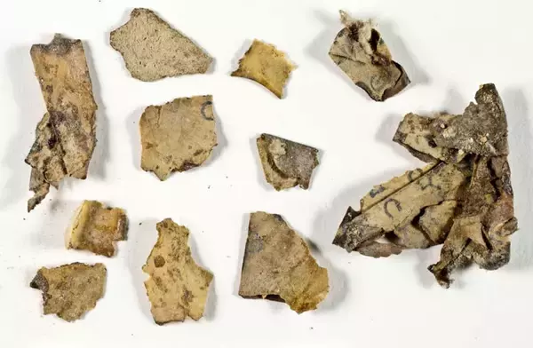イスラエルの砂漠にある恐怖の洞窟で「死海文書」の断片を発見