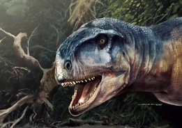 アルゼンチンで珍しい頭蓋骨を持つ新種の肉食恐竜が発掘される