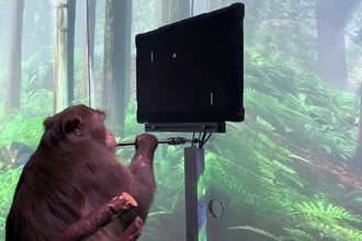 脳にチップを埋め込み思考だけでゲームをする猿の映像が公開される（ニューラリンク）