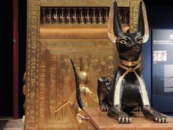 古代エジプト人はなぜ猫を溺愛していたのか？