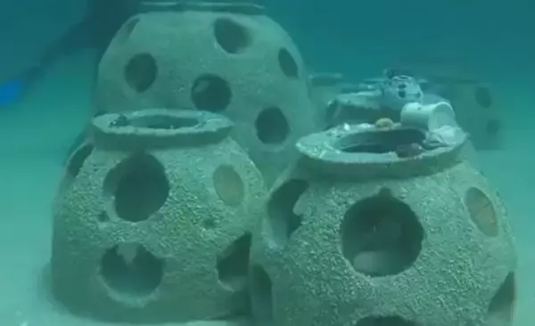 人間の遺灰で作った人工魚礁を海に投下。海洋生物たちが棲みつき、フロリダの海岸線が復活（アメリカ）