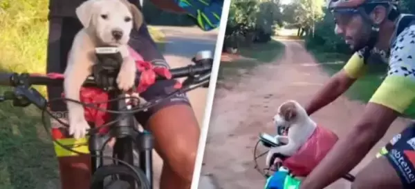 袋に入れられ車から道端にポイ捨てされた子犬、サイクリング中のカップルに発見され、そのまま永遠の家族となる