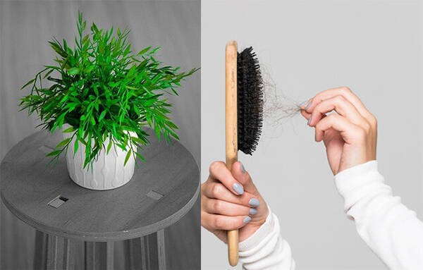 抜け毛に育植物効果が 土に埋めると観葉植物がグングン育つライフハックには科学的根拠あり 21年5月27日 エキサイトニュース