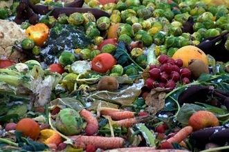 野菜や果物などの食品廃棄物からコンクリートよりも強くしかも食べられる素材が開発される（日本研究）