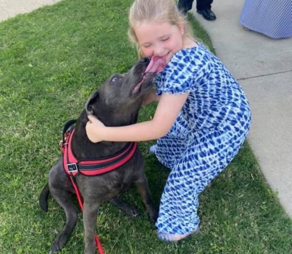 父親を亡くしたばかりの少女に寄り添い 慰め続けたのは 見知らぬ人が連れた散歩中の犬だった 21年6月16日 エキサイトニュース