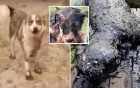 閲覧注意 ロシアで高さ1900メートルから渓谷を見下ろすブランコのチェーンが突然切れてしまう 21年7月日 エキサイトニュース