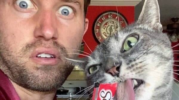 猫を愛する猫飼いネイサンさんの愛猫ピクルスさん そのオコ顔が人気で個別インスタグラム爆誕か 21年7月28日 エキサイトニュース