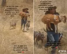 お願い 助けて 柱につながれていた瀕死の犬に警察官が近付くと 21年8月25日 エキサイトニュース