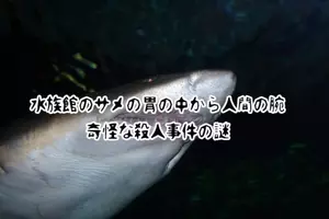 エジプトの知られざるピラミッドにまつわる謎 未解決殺人事件と隠された遺産 21年1月11日 エキサイトニュース