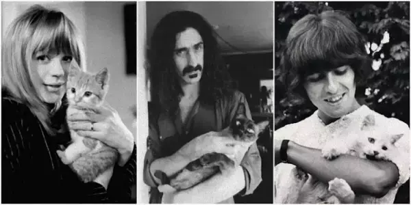 ロックスターと猫が一緒に写った20枚のヴィンテージ写真