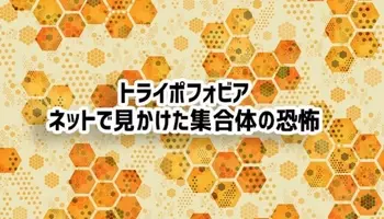無数の穴や突起の集まりが怖い トライポフォビア は恐怖症ではない ただの嫌悪感であるとする最新研究 米研究 18年1月11日 エキサイトニュース