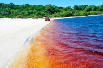 思わず飲みたくなる？コーラ色をしたブラジルのアララクアラ湖