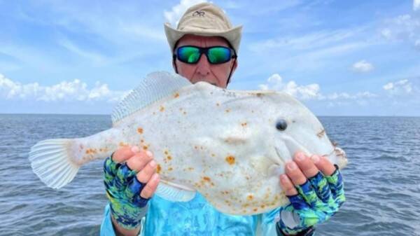 平べったいトルティーアの皮のような謎の魚が釣り上げられる アメリカ 21年9月10日 エキサイトニュース