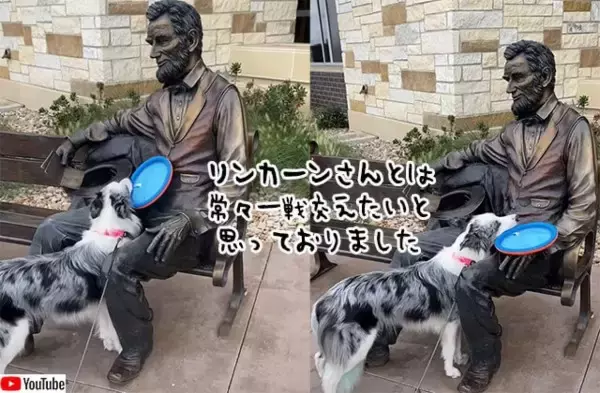 リンカーン大統領とは是非遊びたかった犬。フリスビーを持ってきておねだり