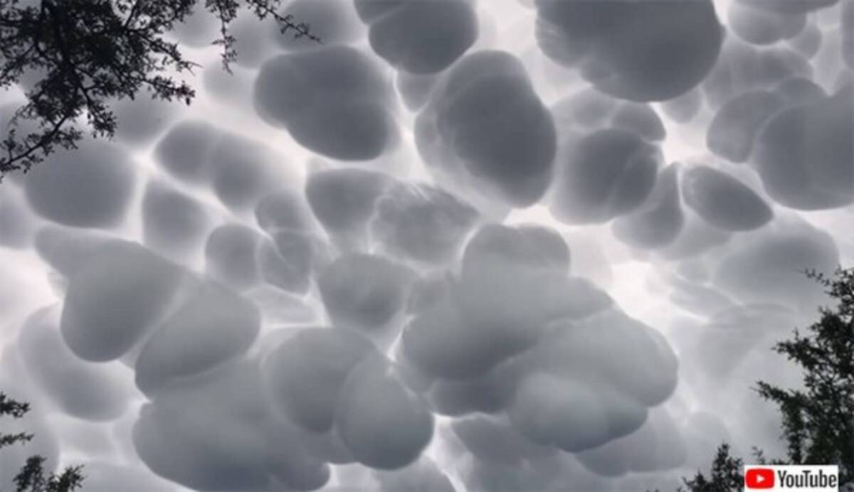 不気味デラックス 乳房雲が上空を覆う世紀末的光景 21年12月5日 エキサイトニュース