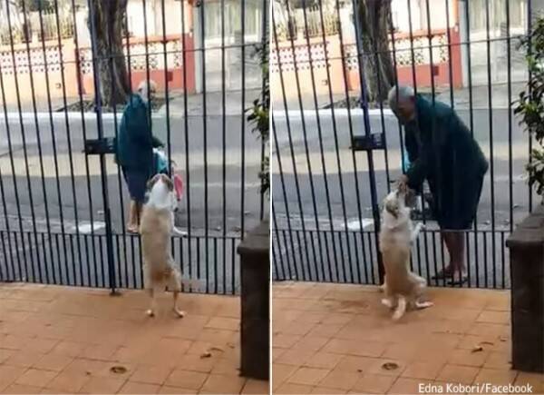 もうすぐ来る 尻尾の回転が止まらない 犬とホームレス男性の心温まる日課 21年12月7日 エキサイトニュース